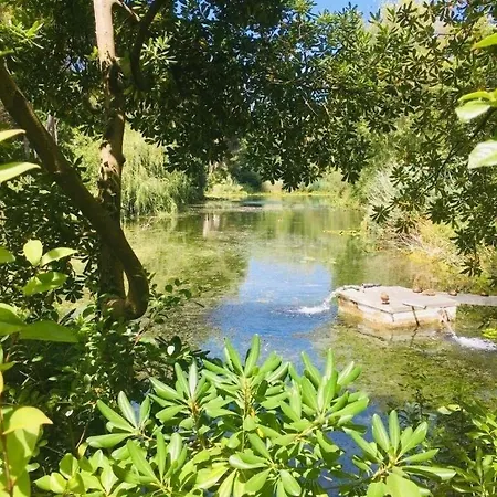 Cap - Coquet T2 Front De Dans Domaine Avec Piscine Et Tennis Mae-5634